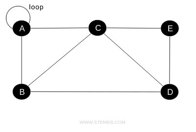 an example of a loop