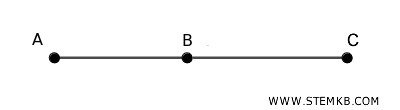 example of adjacent segments