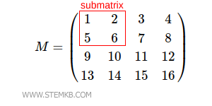 a submatriz quadrada 2x2
