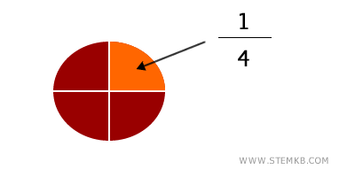 an example of a fraction