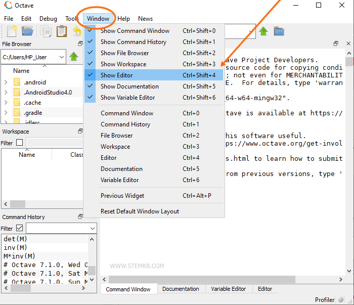 como mostrar o editor