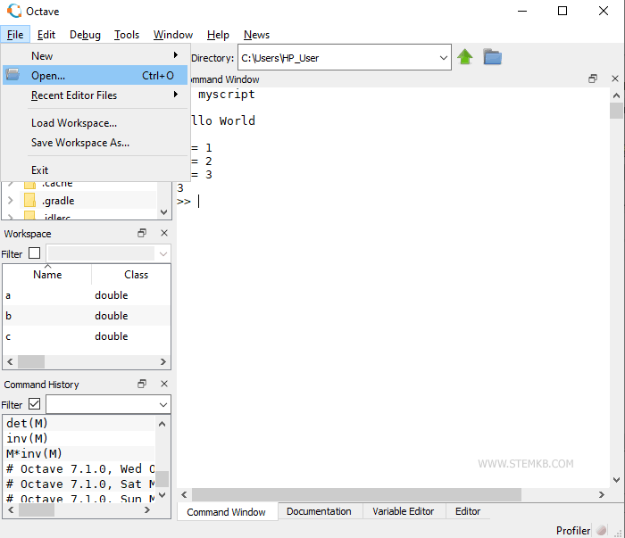 como abrir um script