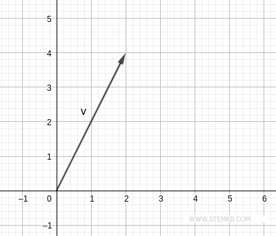Exemplo de um vetor bidimensional (no plano).