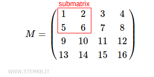 A submatriz quadrada 2x2.